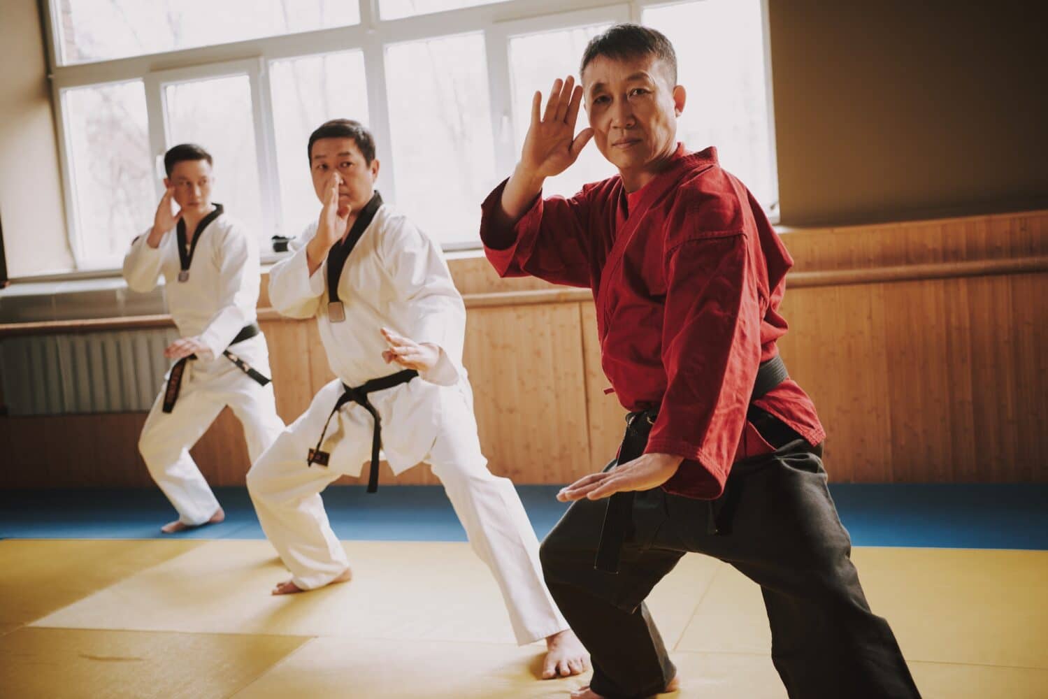 Competitive Edge Karate Adults Taekwondo (Ages 13+)