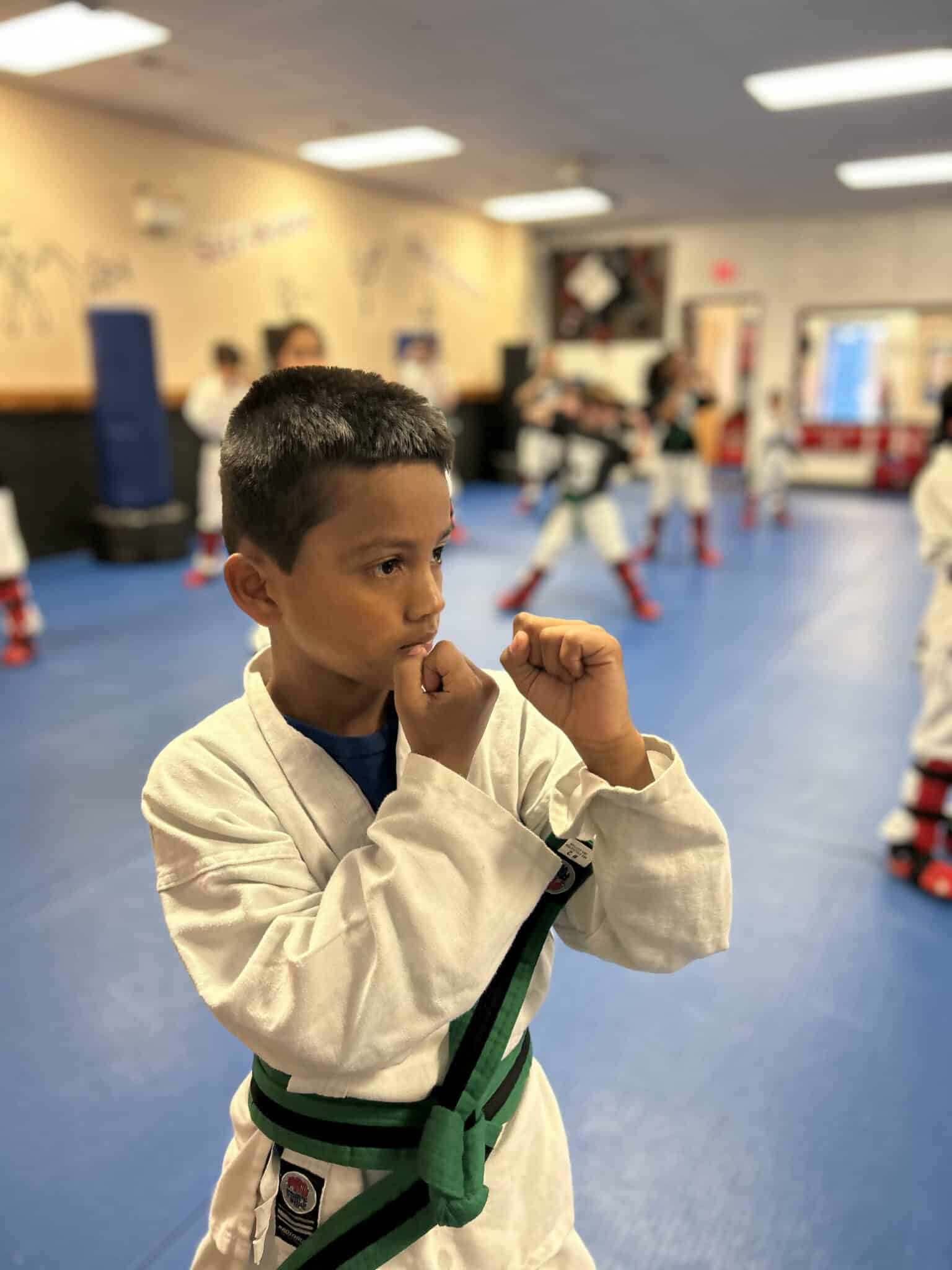 Competitive Edge Karate Kids Ages 6-12